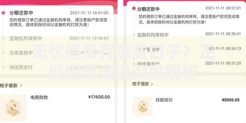 无忧借条有哪些口子？正规借款渠道深度解析