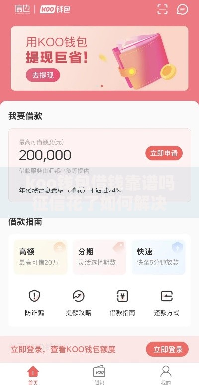 koo钱包借钱靠谱吗征信花了如何解决资金需求？