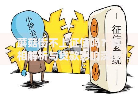 蘑菇街不上征信吗？真相解析与贷款影响深度分析