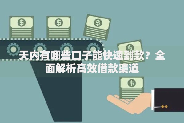 天内有哪些口子能快速到款？全面解析高效借款渠道