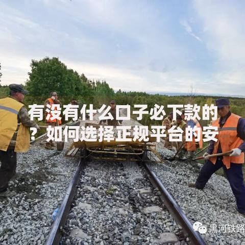 有没有什么口子必下款的?如何选择正规平台的安全指南 有没有什么口子必下款的?如何选择正规平台的安全指南