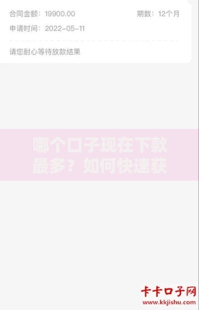哪个口子现在下款最多？如何快速获取大额资金