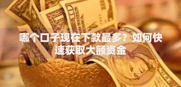 哪个口子现在下款最多？如何快速获取大额资金