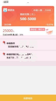 双黑花必下款的口子有哪些？如何快速申请通过？