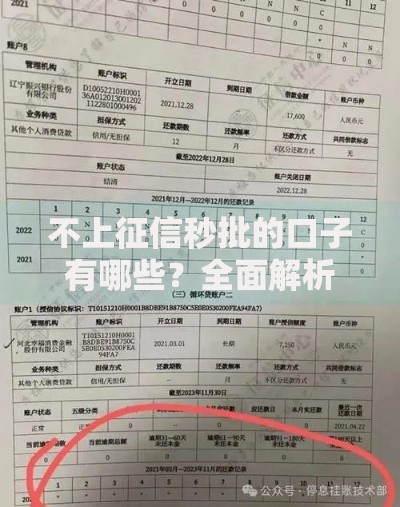 不上征信秒批的口子有哪些？全面解析非征信贷款渠道