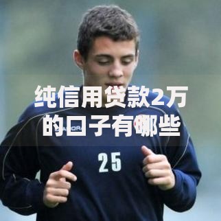 纯信用贷款2万的口子有哪些申请条件？