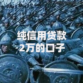 纯信用贷款2万的口子有哪些申请条件？
