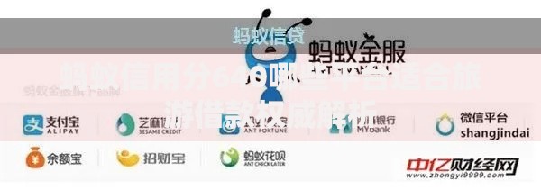 蚂蚁信用分640哪些平台适合旅游借款权威解析