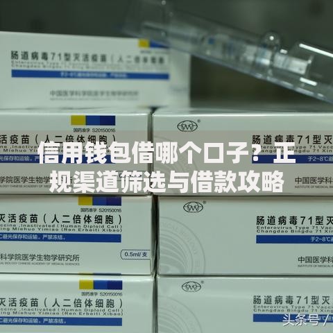 信用钱包借哪个口子？正规渠道筛选与借款攻略