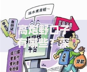 高炮野口子有哪些？深度解析非法贷款平台特征与风险