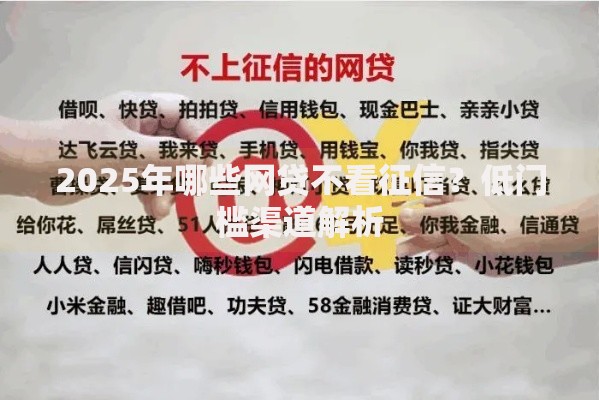 2025年哪些网贷不看征信？低门槛渠道解析