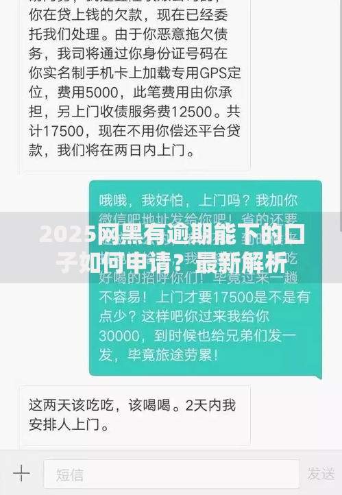 2025网黑有逾期能下的口子如何申请？最新解析