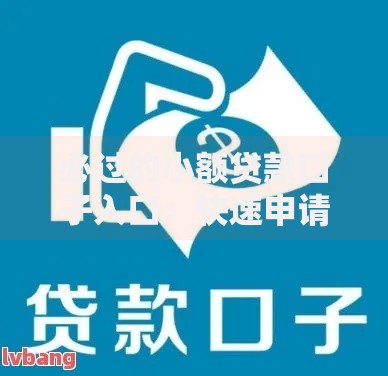 必过的小额贷款口子入口：快速申请指南与技巧解析