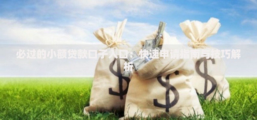 必过的小额贷款口子入口：快速申请指南与技巧解析