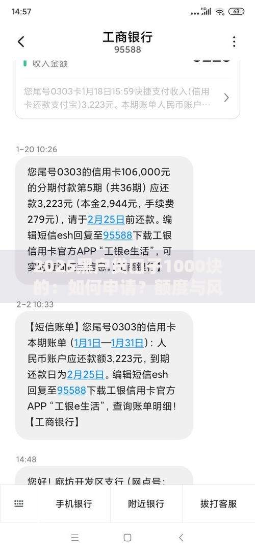 2025黑户贷口子1000块的：如何申请？额度与风险解析