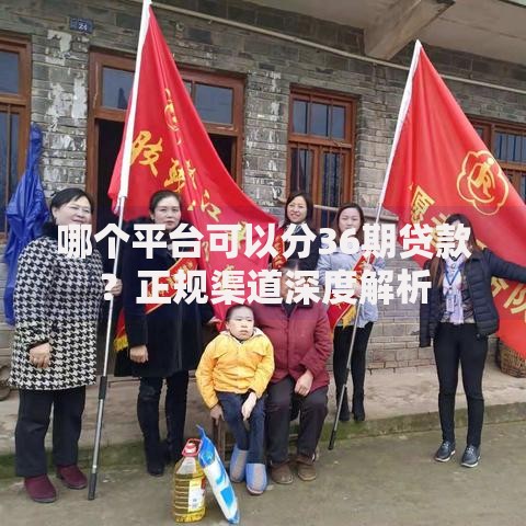 哪个平台可以分36期贷款？正规渠道深度解析