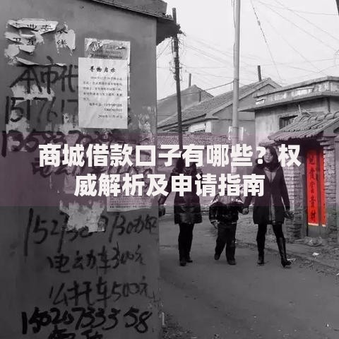 商城借款口子有哪些？权威解析及申请指南
