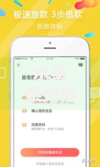 水果系列借款口子：低息快速到账方案全解析