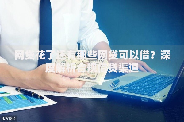 网贷花了还有那些网贷可以借？深度解析合规借贷渠道