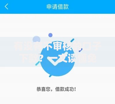 有没有不审核的口子下款？一文读懂免审核贷款真相