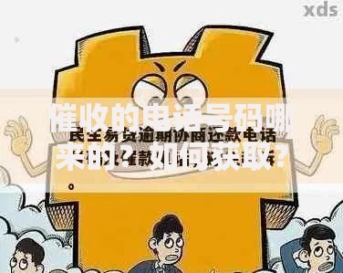 催收的电话号码哪来的？如何获取？是否合法？如何应对？