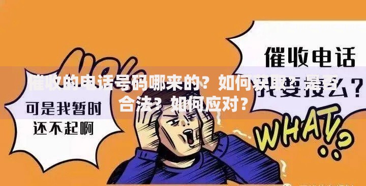 催收的电话号码哪来的？如何获取？是否合法？如何应对？
