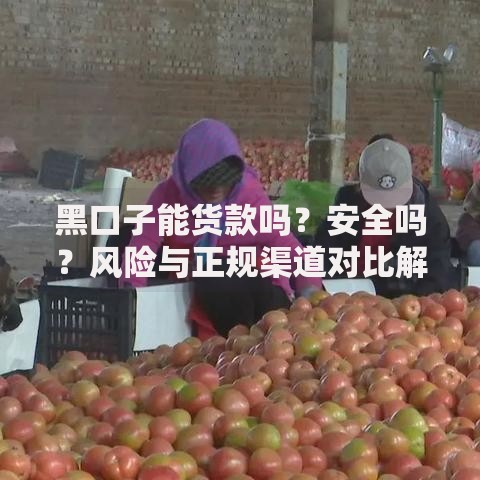 黑口子能货款吗？安全吗？风险与正规渠道对比解析