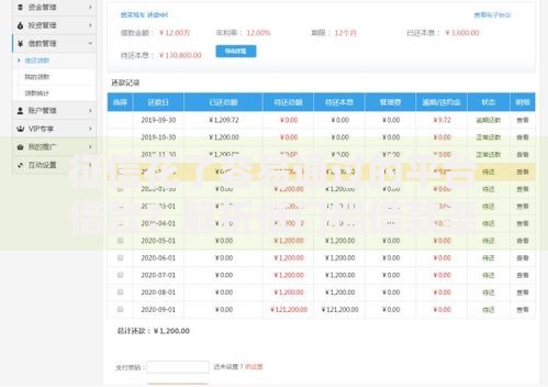 征信花了容易通过的平台借款？解析低门槛借款渠道