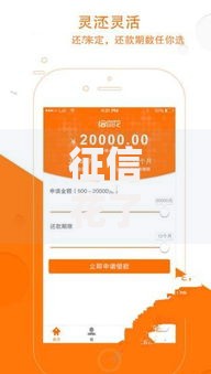 征信花了容易通过的平台借款？解析低门槛借款渠道