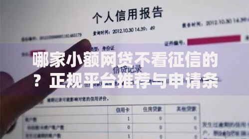 哪家小额网贷不看征信的？正规平台推荐与申请条件解析