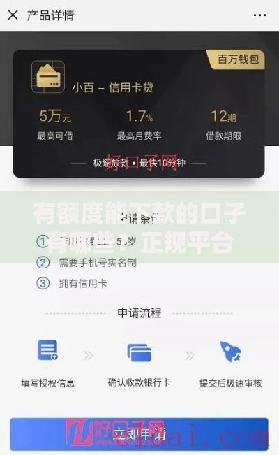有额度能下款的口子有哪些？正规平台申请全攻略