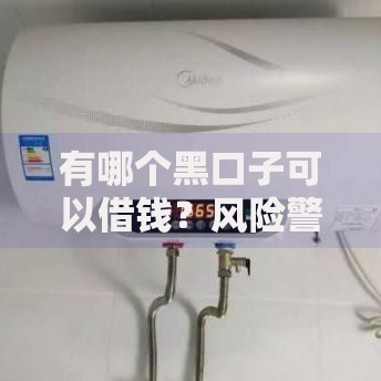 有哪个黑口子可以借钱？风险警示与正规替代方案