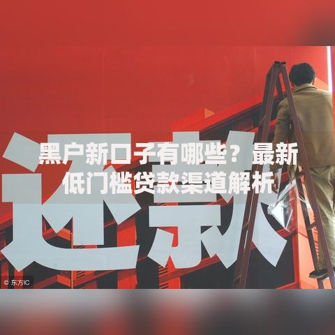 黑户新口子有哪些？最新低门槛贷款渠道解析