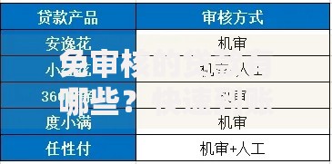 免审核的贷款有哪些？快速到账渠道及风险解析