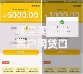 哪里买最新黑户网贷口子如何识别正规平台渠道