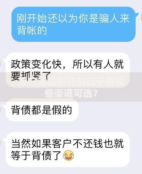 黑户能借到钱的口子有哪些渠道可选？