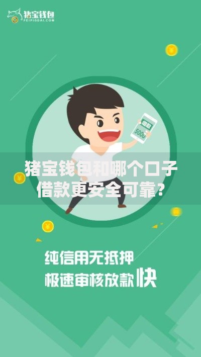 猪宝钱包和哪个口子借款更安全可靠？