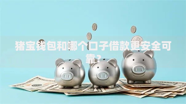 猪宝钱包和哪个口子借款更安全可靠？