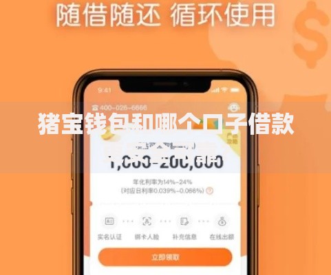 猪宝钱包和哪个口子借款更安全可靠？