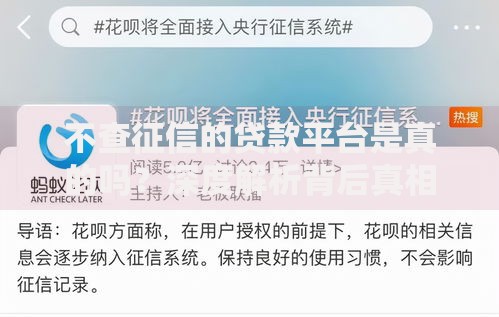不查征信的贷款平台是真的吗？深度解析背后真相