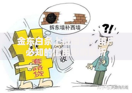 金东白条上征信不？用户必知的信用影响解析