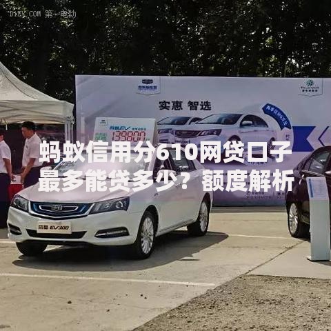 蚂蚁信用分610网贷口子最多能贷多少？额度解析与申请攻略