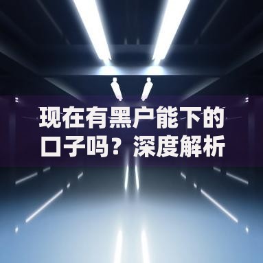 现在有黑户能下的口子吗？深度解析黑户贷款渠道与风控策略