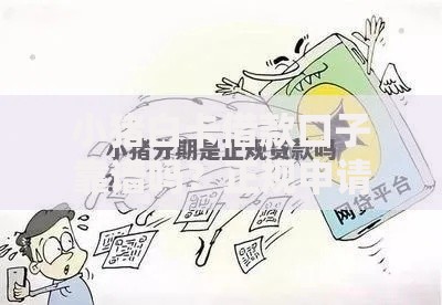 小猪白卡借款口子靠谱吗？正规申请条件及流程全解析