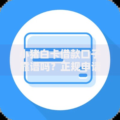 小猪白卡借款口子靠谱吗？正规申请条件及流程全解析