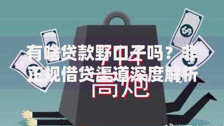 有啥贷款野口子吗？非正规借贷渠道深度解析