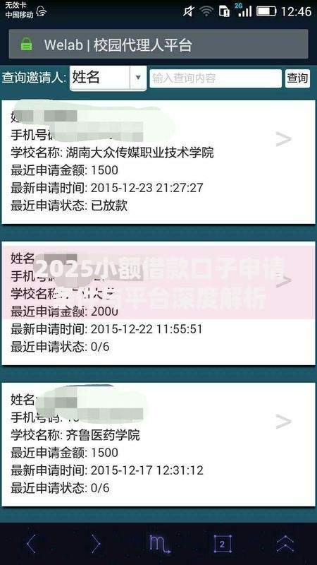 2025小额借款口子申请条件与平台深度解析