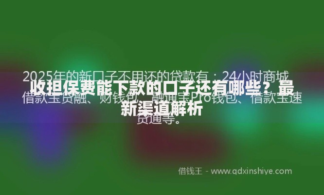 收担保费能下款的口子还有哪些？最新渠道解析