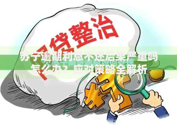 苏宁逾期利息不还后果严重吗怎么办？应对策略全解析