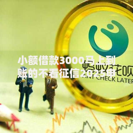 小额借款3000马上到账的不看征信2025申请条件与流程解析